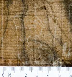 TMSFoto/PK/WM inv I 188 detail Kneeling saint in shield.jpg