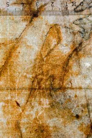 TMSFoto/PK/WM inv I 264 detail Ruiter-cirkel-ster.jpg