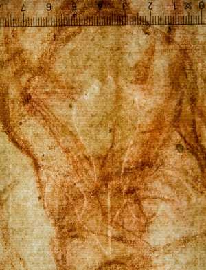 TMSFoto/PK/WM inv I 285 detail Fruit als bij FraB.jpg