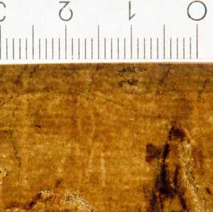 TMSFoto/PK/WM inv I 332 detail fragment.jpg