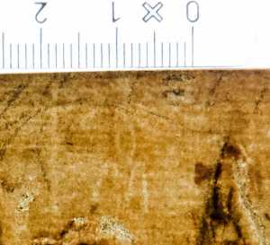 TMSFoto/PK/WM inv I 332 detail2.jpg