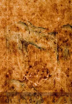 TMSFoto/PK/WM inv I 4 detail Wapenschild drieberg-kruis.jpg