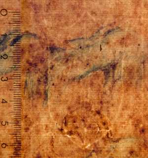 TMSFoto/PK/WM inv I 4 detail.jpg