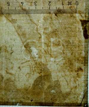 TMSFoto/PK/WM inv I 408 GB drieblad detail.jpg