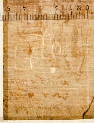 TMSFoto/PK/WM inv I 41 countermark to French Lily detail.jpg