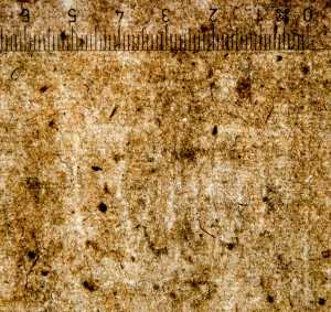 TMSFoto/PK/WM inv I 44 detail.jpg