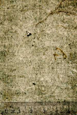 TMSFoto/PK/WM inv I 47 detail.jpg