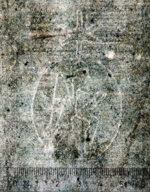 TMSFoto/PK/WM inv I 49 detail.jpg