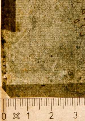 TMSFoto/PK/WM inv I 50 detail.jpg