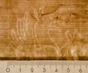 TMSFoto/PK/WM inv I 500 Griffioen fragment boven detail.jpg