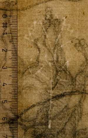 TMSFoto/PK/WM inv I 513v Bloem detail.jpg