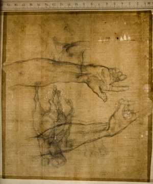 TMSFoto/PK/WM inv I 513v Bloem geheel.jpg