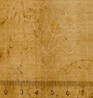 TMSFoto/PK/WM inv I 517 Franse lelie detail.jpg