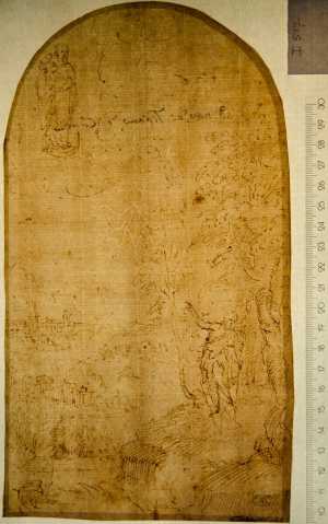 TMSFoto/PK/WM inv I 517 Franse lelie geheel.jpg