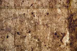 TMSFoto/PK/WM inv I 52 detail .jpg