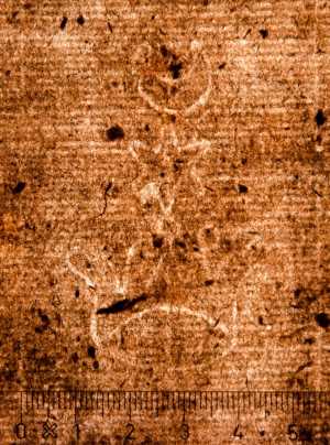 TMSFoto/PK/WM inv I 547 Kroon ster sikkel detail.jpg