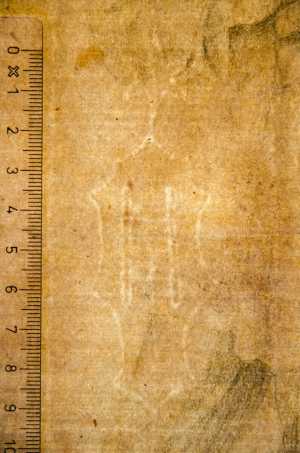 TMSFoto/PK/WM inv I 554 Ladder wapenschild ster detail.jpg