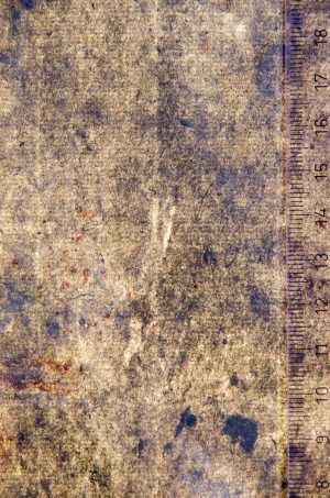 TMSFoto/PK/WM inv I 56 detail .jpg