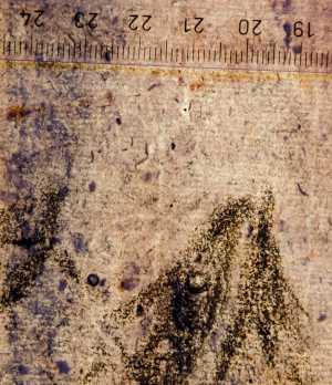 TMSFoto/PK/WM inv I 60 detail .jpg