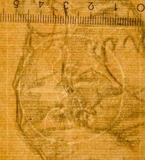 TMSFoto/PK/WM inv I 63 detail Vogel-drieberg-cirkel.jpg