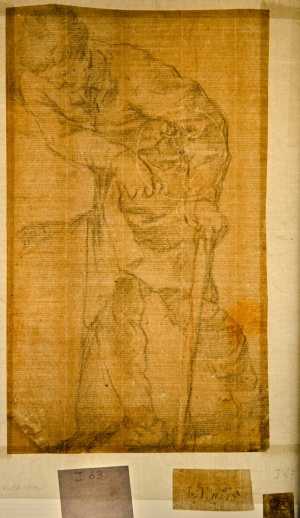 TMSFoto/PK/WM inv I 63 Vogel-drieberg-cirkel.jpg