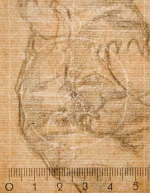 TMSFoto/PK/WM inv I 63 Vogel op drieberg in cirkel detail .jpg