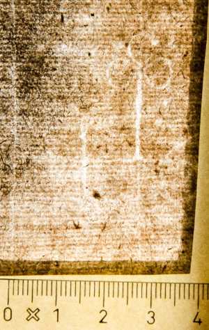 TMSFoto/PK/WM inv I 65v detail Wapenschild-bloem.jpg