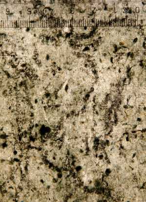 TMSFoto/PK/WM inv I 74 detail onherkenbaar.jpg