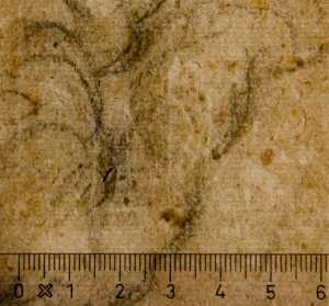 TMSFoto/PK/WM inv I 82 verso detail.jpg