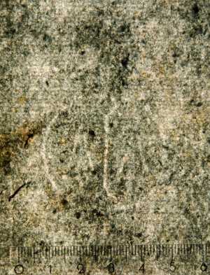 TMSFoto/PK/WM inv I 83 detail Anker-cirkel-ster.jpg