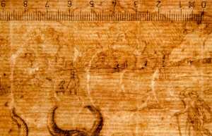 TMSFoto/PK/WM inv L 1951-T7 Sikkels3x detail.jpg