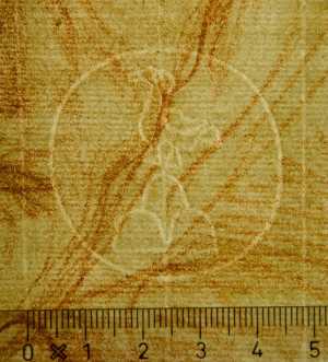 TMSFoto/PK/WM inv MB 1958-T 34 Drieberg vogel cirkel detail.jpg