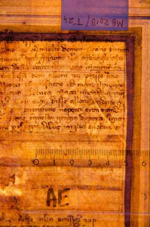 TMSFoto/PK/WM inv MB 2018 T 24 detail Hoorn fragment rechts.jpg