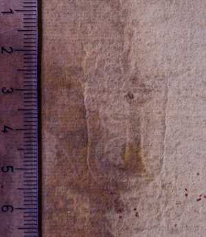 TMSFoto/PK/WM inv MB 952 B bekroond wapenschild detail strijklicht.jpg