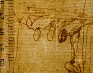 TMSFoto/PK/WM inv S 25  contramerk IC drieblad  detail.jpg