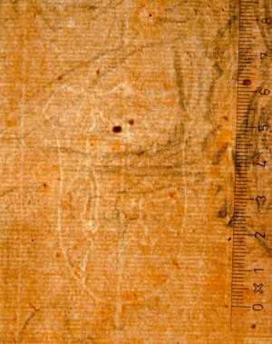 TMSFoto/PK/WM inv S 30 detail Dier in wapenschild.jpg