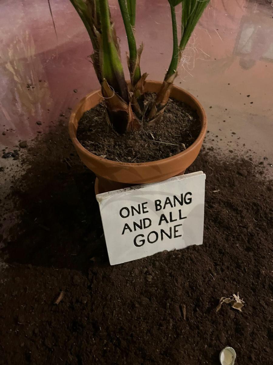 One Bang and all GONE