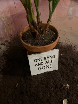 one-bang-and-all-gone