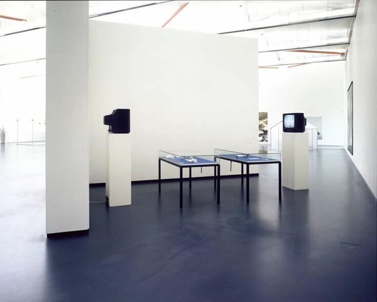 Note 0330: In Search of Perfection (Angora)