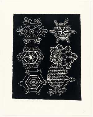 from-a-different-climate