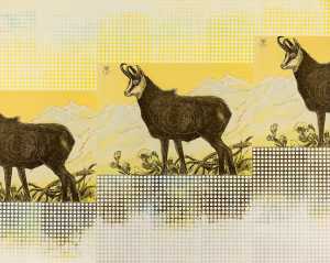 tierscheibe-gamsbock