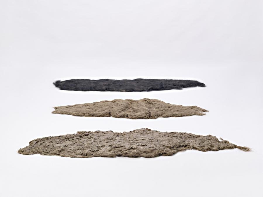 Human Hairballs Museum Boijmans Van Beuningen