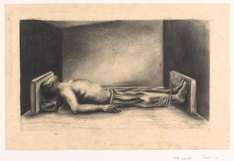 De kunst van het overleven