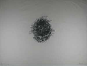 namen-axial-sections-of-the-head