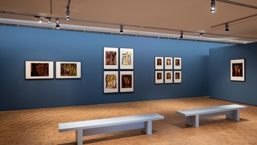 Picasso op Papier - Kunsthal Rotterdam