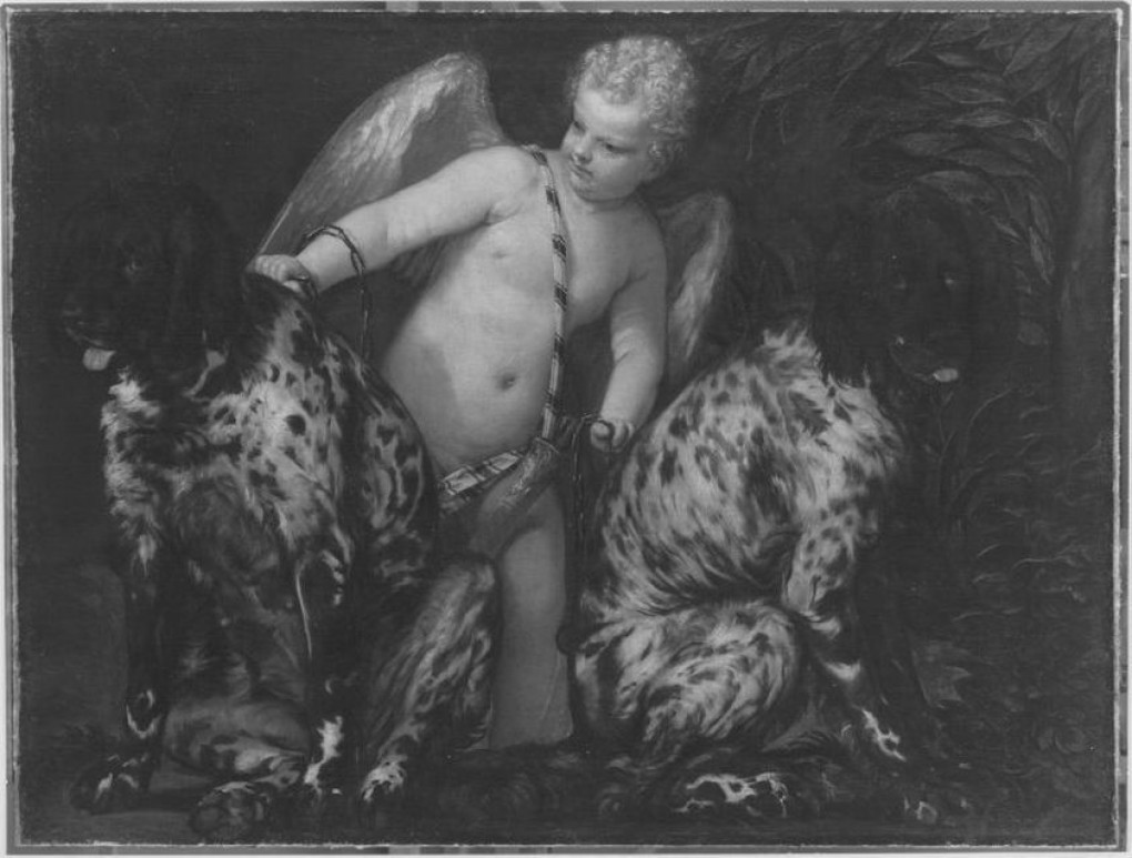 © BAYERISCHE STAATSGEMÄLDESAMMLUNGEN. Paolo Veronese, Cupido with two Dogs, 1575-1580, oil on canvas, 100 x 134 cm.  München, Alte Pinakothek. (https://creativecommons.org/licenses/by-sa/4.0/)