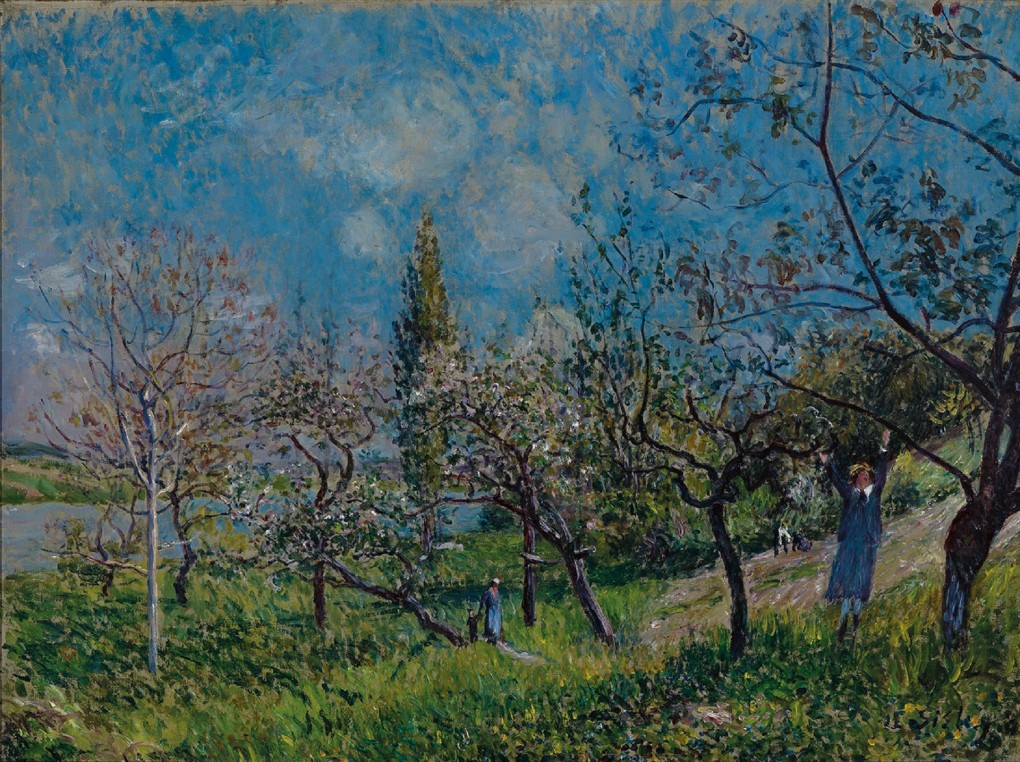 Alfred Sisley, Un verger au printemps, By, 1881, oil on canvas, acquired with the collection of: D.G. van Beuningen 1958
