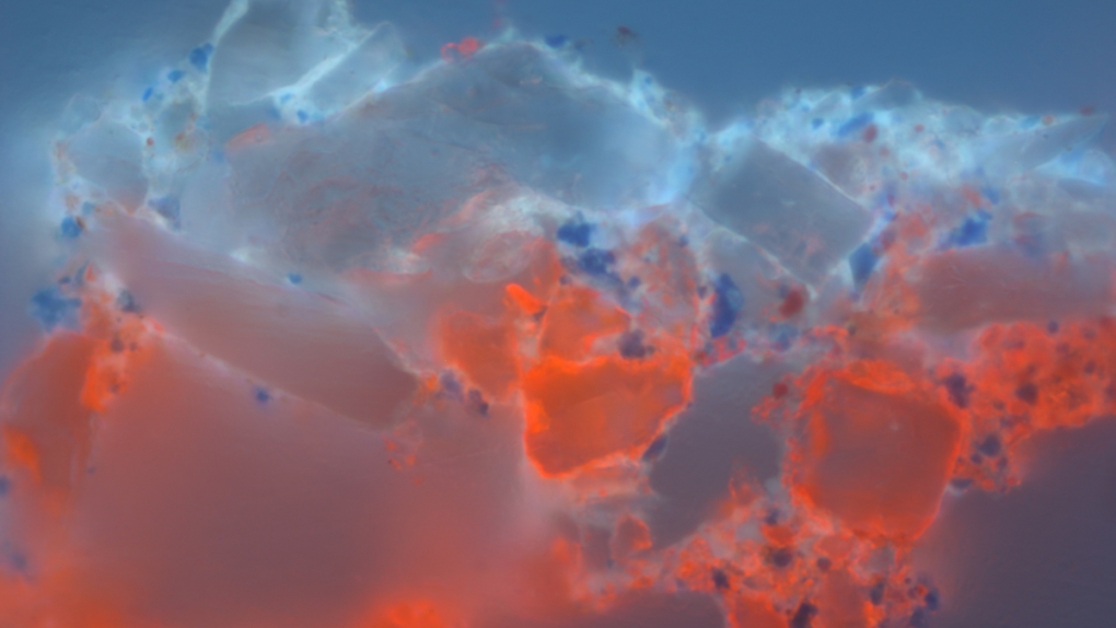 Beeld van dwarsdoorsnede onder UV-licht. Toont opbouw van de verflaag. Dr. Inez van der Werf, Rijksdienst voor het Cultureel Erfgoed