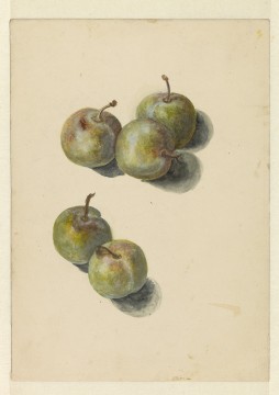 Edouard Manet, Study with five prunes, 1880, Museum Boijmans Van Beuningen. Former Collection Koenigs