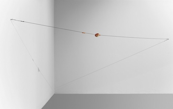 Paul Thek, Meat Cable, 1968. Was, staal, lengte 720 cm. Collectie Museum Boijmans Van Beuningen. Foto: Studio Tromp.